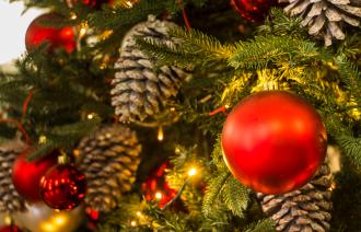 Weihnachtsbaum im Rathaus